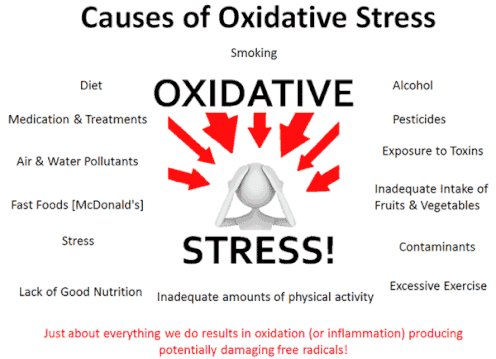 kangen water oxidative stress