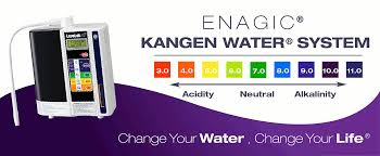 kangen water machine price in india